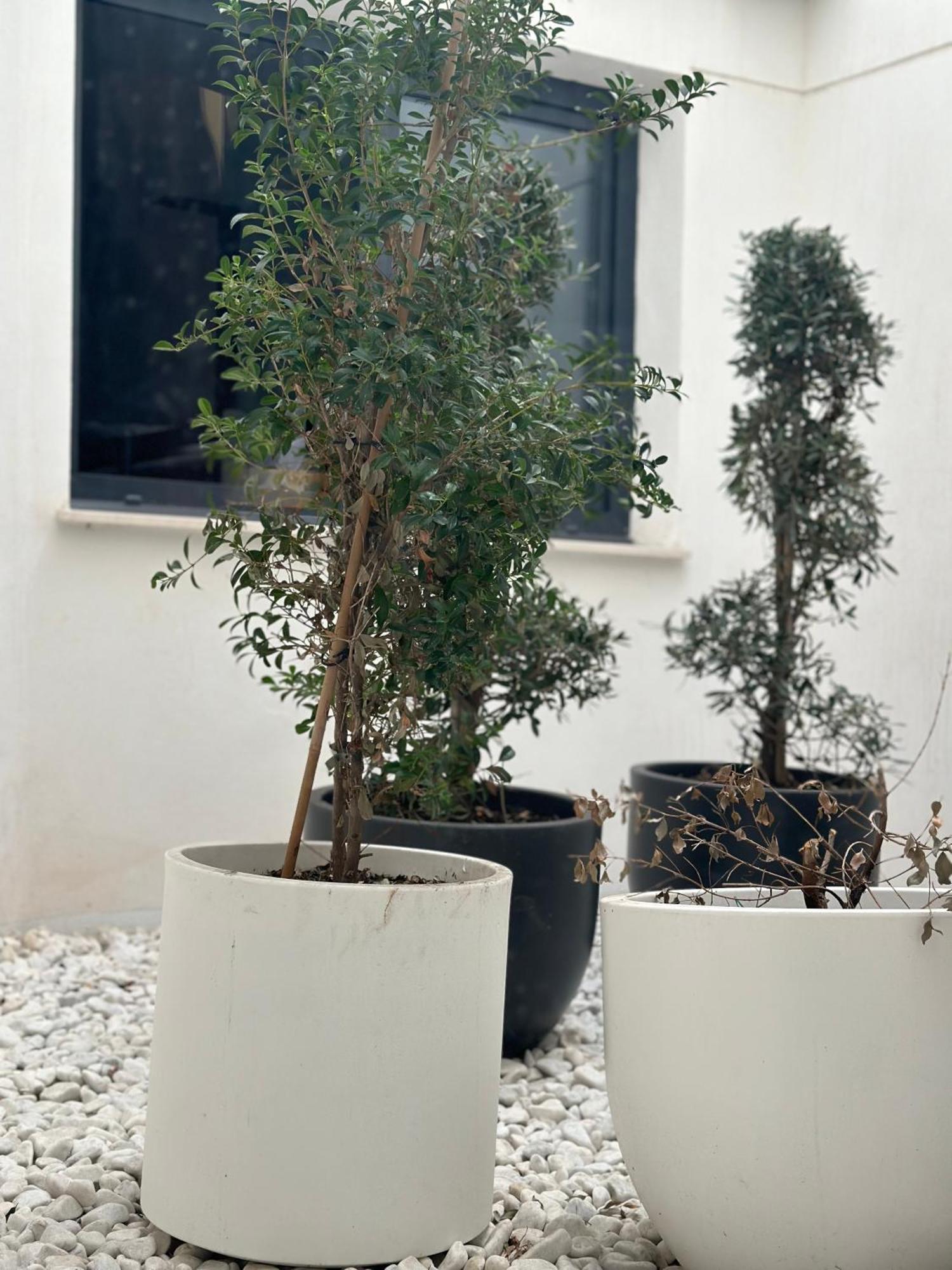 Hostel Alicante A-Cero Living מראה חיצוני תמונה